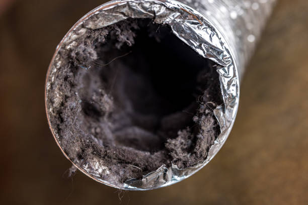 Best Residential Air Duct Cleaning  in Solana, FL